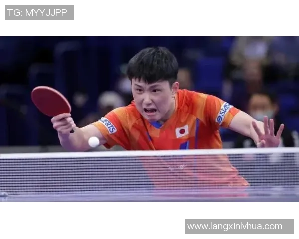 深圳乒乓球队个人能力引发热议球员表现与团队合作的深度探讨
